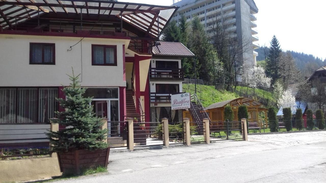 Passiflora Hotel Voineasa Exterior foto